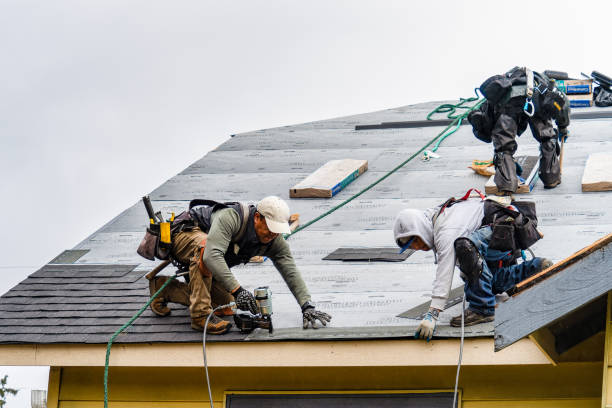 Professional Roofing technician working in Leicester, NY